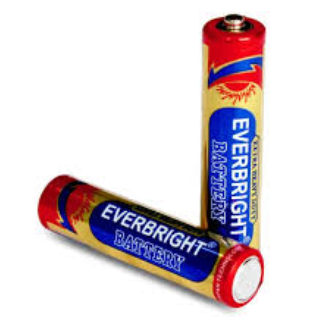 EVERBRIGHT AAA BATTERY 2PACK LR03